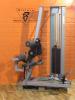 Gym 80 Edition Line Rckenstreckmaschine - gebraucht 