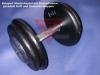 65 kg Kompakthantelpaar / Gummi 
